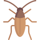 Barata